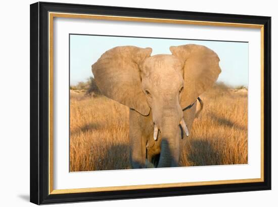 Elephant Ears-Howard Ruby-Framed Photographic Print