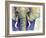 Elephant Face-Michelle Faber-Framed Giclee Print