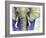 Elephant Face-Michelle Faber-Framed Giclee Print