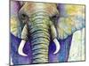 Elephant Face-Michelle Faber-Mounted Giclee Print