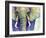 Elephant Face-Michelle Faber-Framed Giclee Print