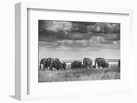 Elephant family-Vedran Vidak-Framed Photographic Print