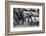 Elephant family-Vedran Vidak-Framed Photographic Print