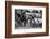 Elephant family-Vedran Vidak-Framed Photographic Print