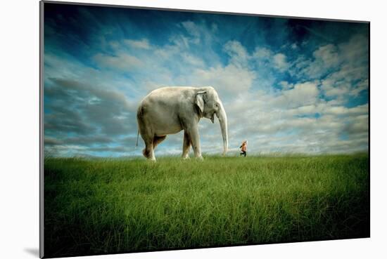 Elephant Follow Me-Jeff Madison-Mounted Art Print