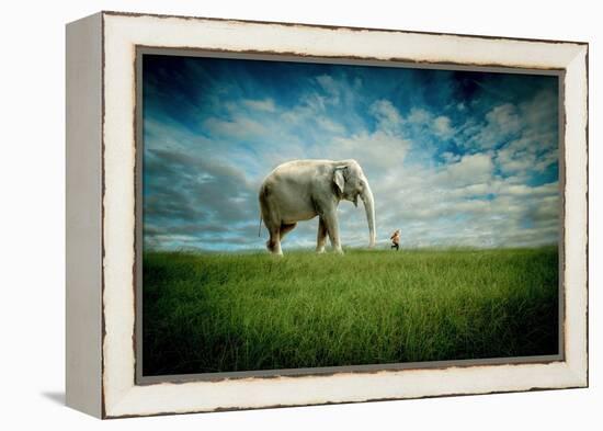 Elephant Follow Me-Jeff Madison-Framed Stretched Canvas