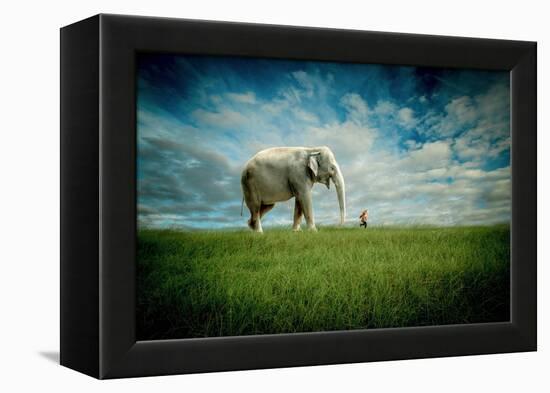 Elephant Follow Me-Jeff Madison-Framed Stretched Canvas