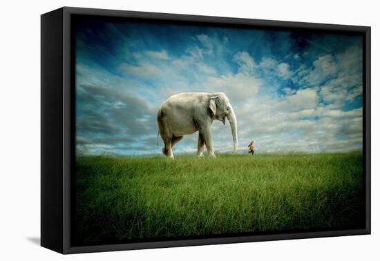 Elephant Follow Me-Jeff Madison-Framed Stretched Canvas