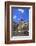 Elephant Fountain, Catania, Sicily, Italy, Europe-Neil Farrin-Framed Photographic Print