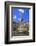 Elephant Fountain, Catania, Sicily, Italy, Europe-Neil Farrin-Framed Photographic Print