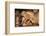 Elephant Frieze on Base of Audience Hall, Polunnaruwa, Sri Lanka, 20th century-Unknown-Framed Photographic Print