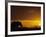 Elephant Grazing at Sunset, Tarangire National Park, Tanzania-Merrill Images-Framed Photographic Print