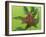 Elephant Hawkmoth, County Clare, Munster, Republic of Ireland, Europe-Carsten Krieger-Framed Photographic Print