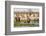 Elephant herd in Etosha National Park. Oshikoto Region, Namibia.-Keren Su-Framed Photographic Print