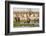 Elephant herd in Etosha National Park. Oshikoto Region, Namibia.-Keren Su-Framed Photographic Print