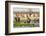 Elephant herd in Etosha National Park. Oshikoto Region, Namibia.-Keren Su-Framed Photographic Print