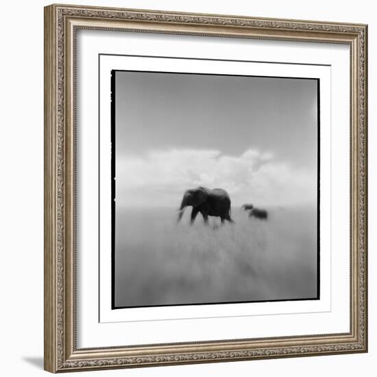 Elephant Herd, Masai Mara Game Reserve, Kenya-Paul Souders-Framed Photographic Print