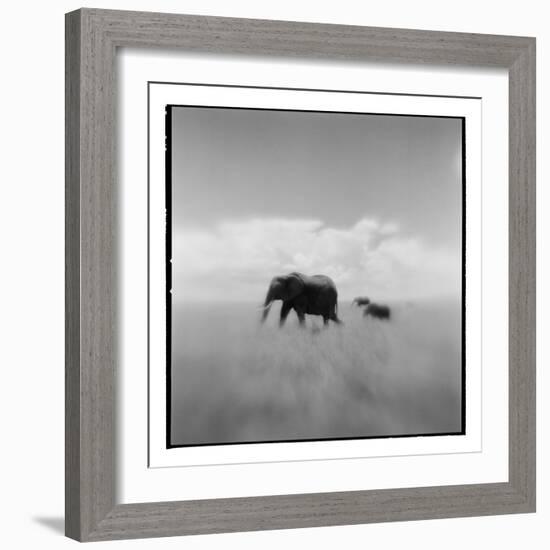 Elephant Herd, Masai Mara Game Reserve, Kenya-Paul Souders-Framed Photographic Print