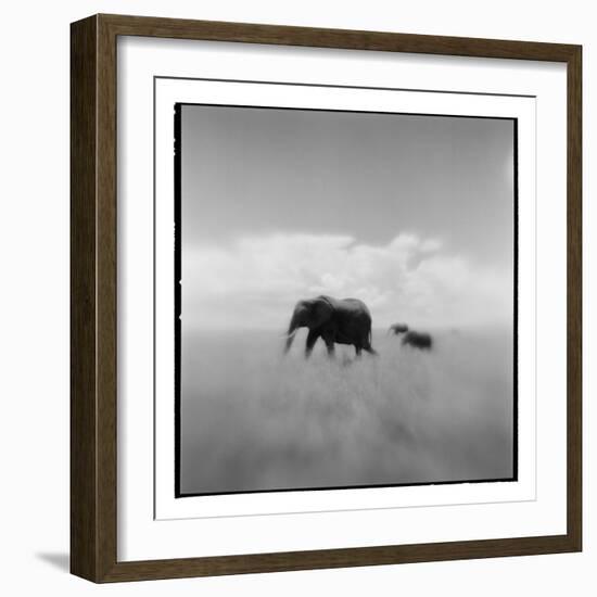 Elephant Herd, Masai Mara Game Reserve, Kenya-Paul Souders-Framed Photographic Print