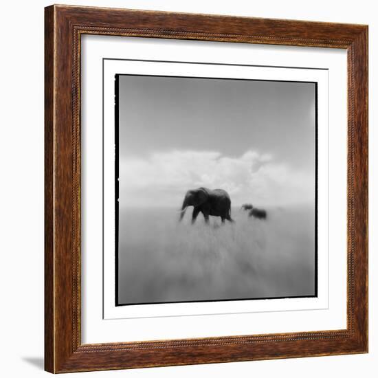 Elephant Herd, Masai Mara Game Reserve, Kenya-Paul Souders-Framed Photographic Print