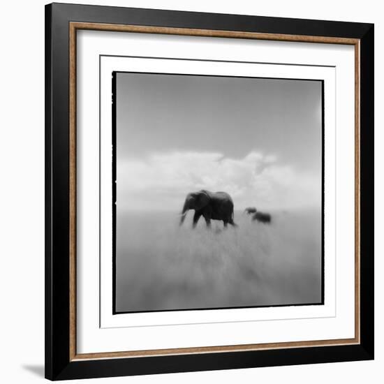 Elephant Herd, Masai Mara Game Reserve, Kenya-Paul Souders-Framed Photographic Print