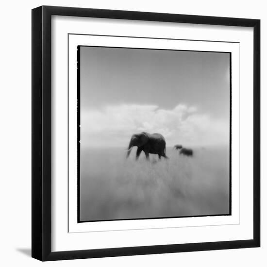 Elephant Herd, Masai Mara Game Reserve, Kenya-Paul Souders-Framed Photographic Print