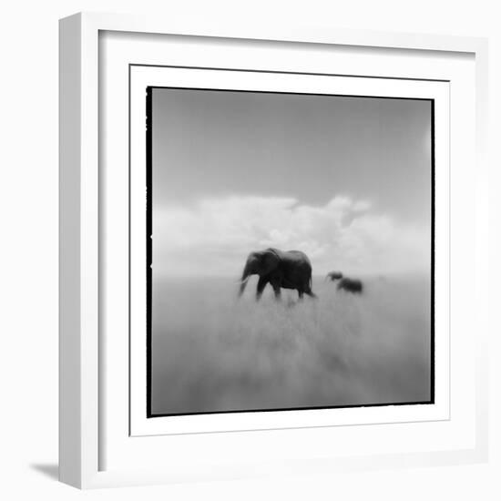 Elephant Herd, Masai Mara Game Reserve, Kenya-Paul Souders-Framed Photographic Print