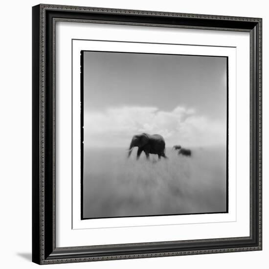 Elephant Herd, Masai Mara Game Reserve, Kenya-Paul Souders-Framed Photographic Print