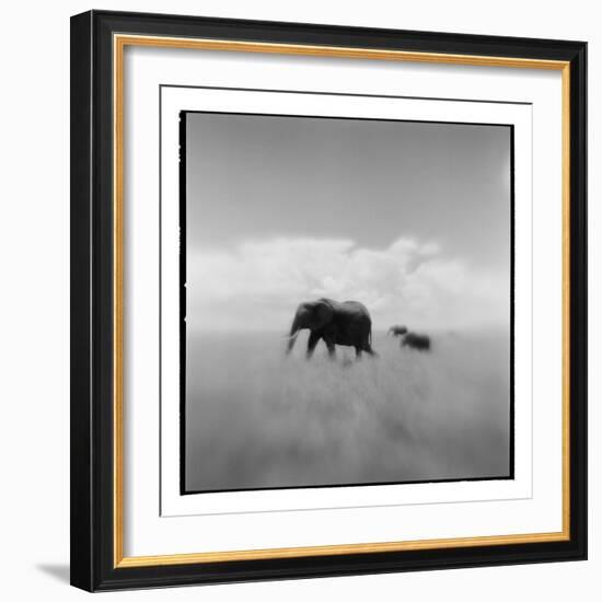 Elephant Herd, Masai Mara Game Reserve, Kenya-Paul Souders-Framed Photographic Print