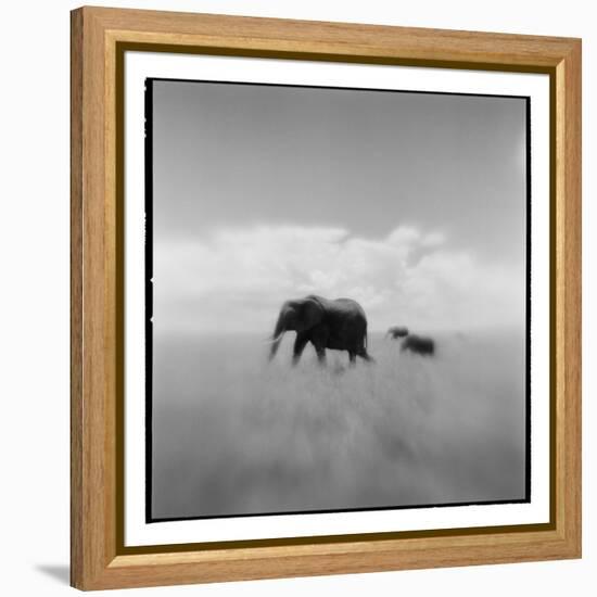 Elephant Herd, Masai Mara Game Reserve, Kenya-Paul Souders-Framed Premier Image Canvas