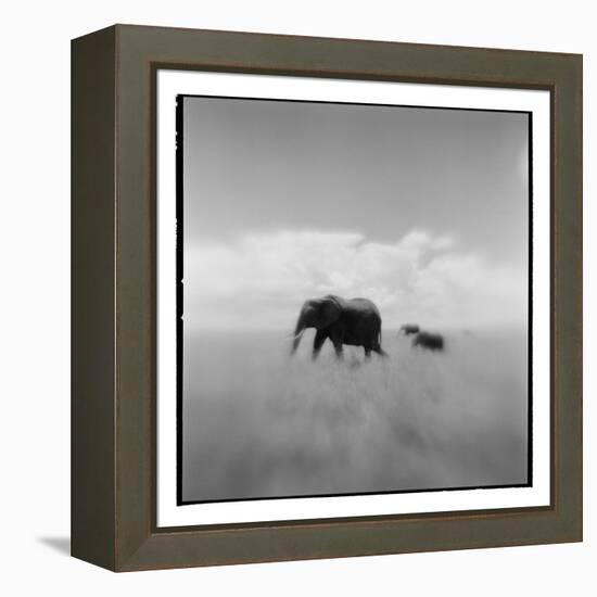 Elephant Herd, Masai Mara Game Reserve, Kenya-Paul Souders-Framed Premier Image Canvas