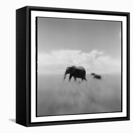 Elephant Herd, Masai Mara Game Reserve, Kenya-Paul Souders-Framed Premier Image Canvas