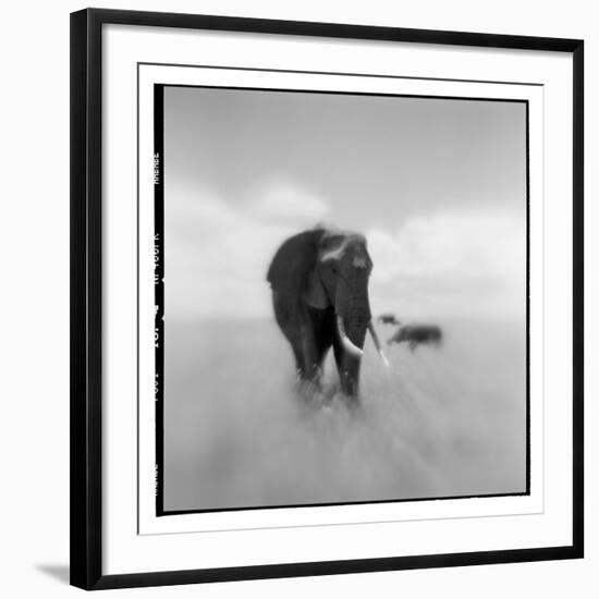 Photographic Print, , large