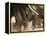 Elephant Herd on the Move-Martin Harvey-Framed Premier Image Canvas