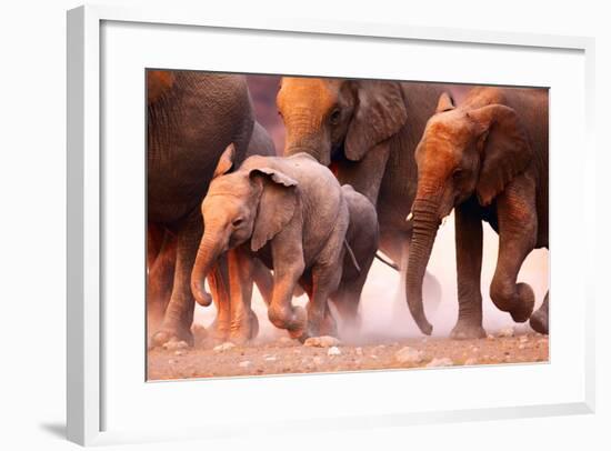 Elephant Herd on the Run in Etosha Desert-Johan Swanepoel-Framed Photographic Print