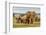 Elephant Herd-ZambeziShark-Framed Photographic Print