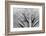 Elephant Hide-Catharina Lux-Framed Photographic Print