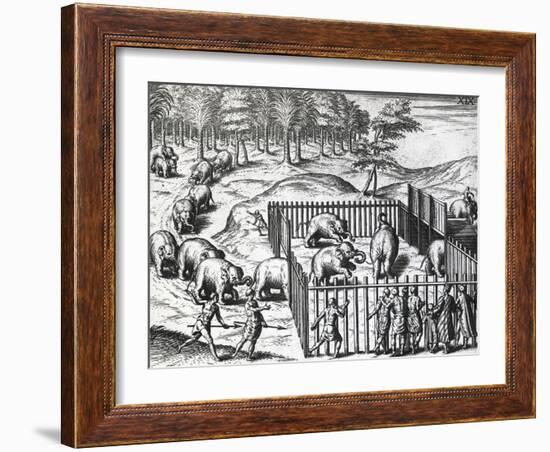 Elephant Hunting in Kingdom of Pegu, Now Myanmar-Theodor de Bry-Framed Giclee Print