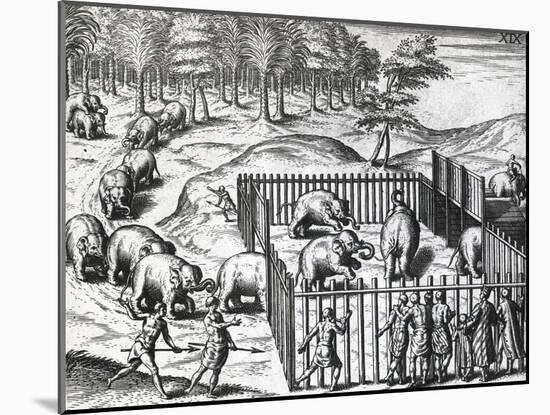 Elephant Hunting in Kingdom of Pegu, Now Myanmar-Theodor de Bry-Mounted Giclee Print