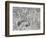 Elephant Hunting on Island of Java, Engraving from Universal Cosmology-Andre Thevet-Framed Giclee Print