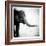 Elephant II-Debra Van Swearingen-Framed Art Print