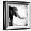 Elephant II-Debra Van Swearingen-Framed Premium Giclee Print
