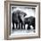 Elephant III-Debra Van Swearingen-Framed Art Print