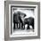 Elephant III-Debra Van Swearingen-Framed Art Print