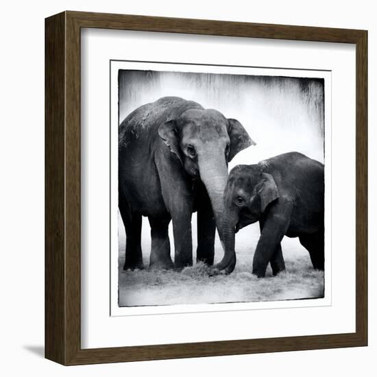 Elephant III-Debra Van Swearingen-Framed Art Print