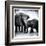 Elephant III-Debra Van Swearingen-Framed Art Print