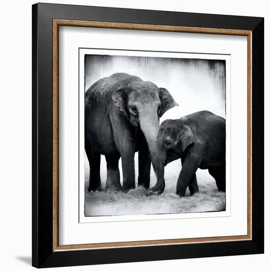 Elephant III-Debra Van Swearingen-Framed Art Print