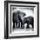 Elephant III-Debra Van Swearingen-Framed Art Print