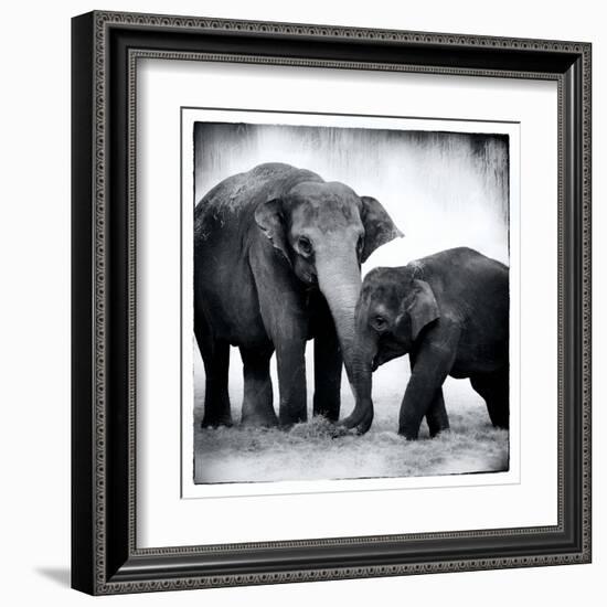 Elephant III-Debra Van Swearingen-Framed Art Print