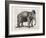 Elephant In A Bowler-Christopher James-Framed Art Print